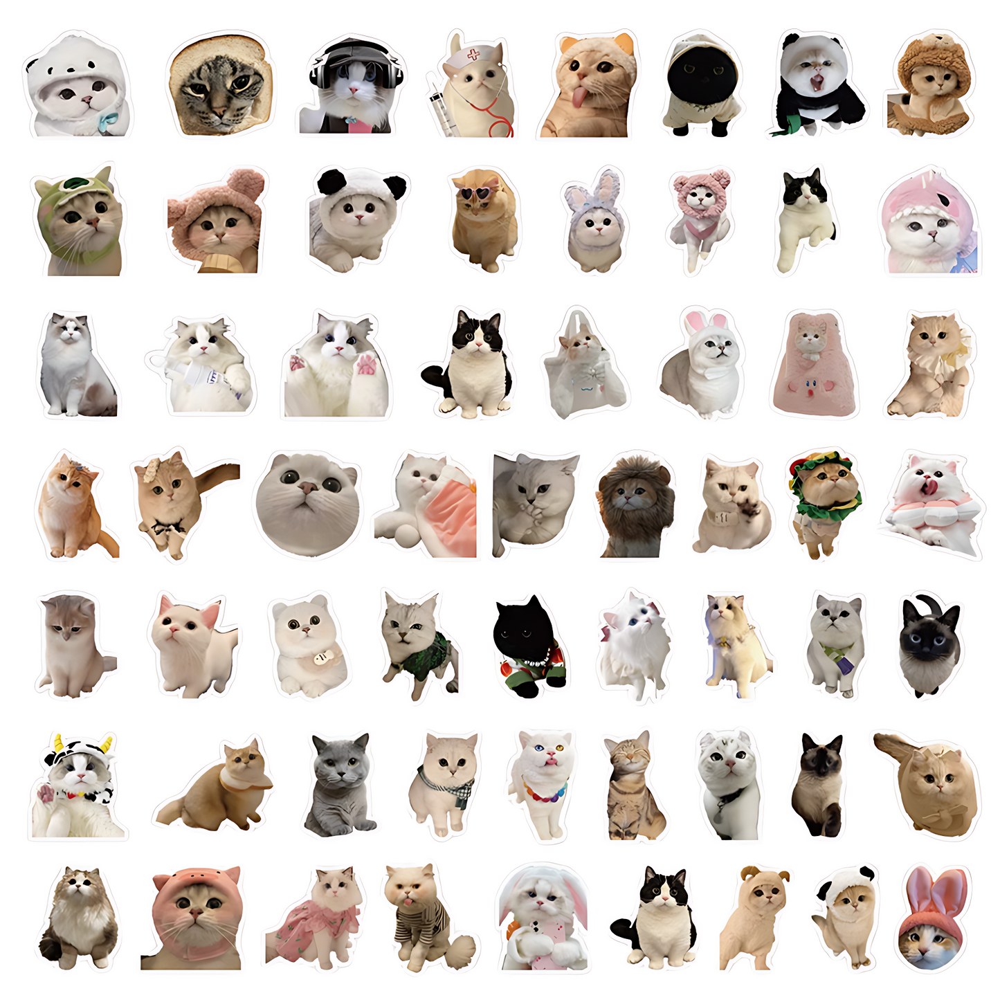 ASSORTED CAT STICKERS (60PC)