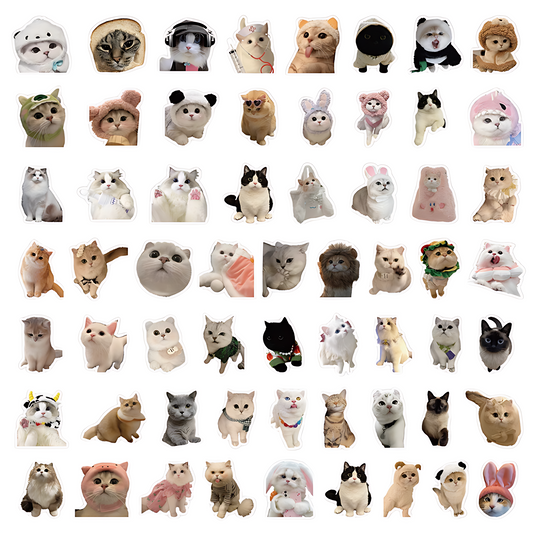 ASSORTED CAT STICKERS (60PC)